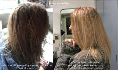 damaged hair and bad colour - corrected by Toni, mobile hairdresser in Bournemouth, Poole, Christchurch, Ferndown, Wimborne and surrounding areas